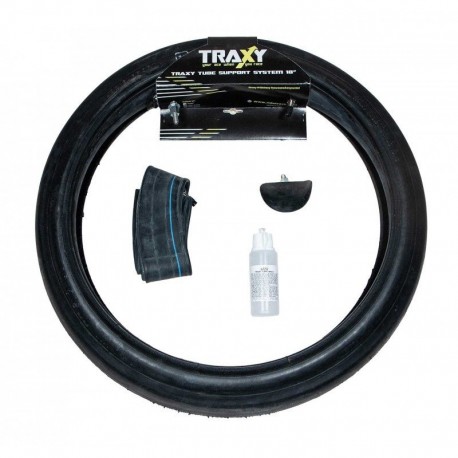 System wsparcia trakcji TRAXY